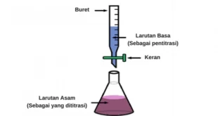 Asam Basa – Konsep pH, pOH, dan pKw Pada Larutan Asam Basa