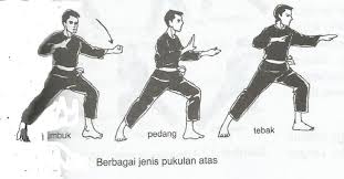 Sejarah, Teknik Serangan Dan Peraturan Pertandingan Pencak Silat Terlengkap