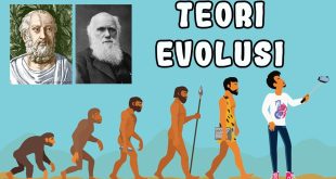 Pengertian Evolusi, Teori, Mekanisme dan Bukti Adanya Evolusi Terlengkap