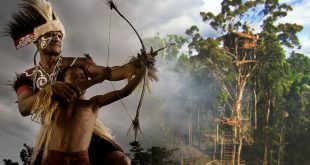 Suku Mandobo – Bahasa, Kekerabatan, Kepercayaan, Kebudayan, Mata Pencaharian
