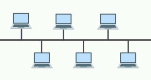 Pengertian Topologi Bus : Fungsi, Jenis, Ciri, Cara Kerja, Kelebihan dan Kekurangannya