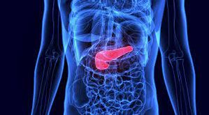 Pengertian, Fungsi, Stuktur, Gambar Anatomi dan Penyakit Pada Pankreas Terlengkap