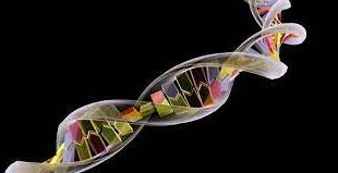 Pengertian DNA dan RNA, Fungsi, Struktur dan Jenisnya Terlengkap