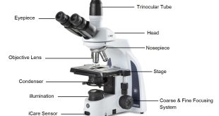 Pengertian Mikroskop, Fungsi, Jenis-Jenis, dan Bagian-Bagian Mikroskop Terlengkap
