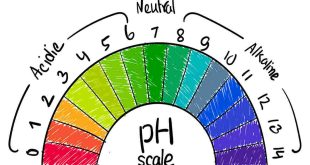 Asam Basa – Menghitung pH Larutan Asam Lemah dan Basa Lemah