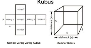 Kubus – Unsur-Unsur Kubus, Jaring-Jaring, Rumus dan Contoh Soal Lengkap