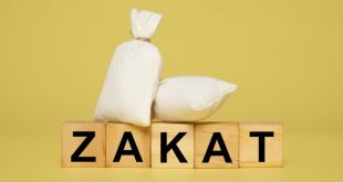 Pengertian Zakat, Macam Macam, Hak Penerima Zakat Dan Hikmah Berzakat