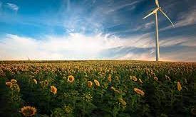 Pengertian, Jenis dan Contoh Sumber Daya Alam yang Dapat Diperbaharui (Renewable Resources) Lengkap