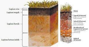Pengertian Profil Tanah dan Susunan Lapisan-Lapisan Profil Tanah Lengkap