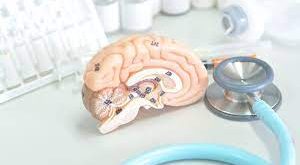 Pengertian Kelenjar Pituitari, Fungsi dan Struktur Bagian Kelenjar Pituitari (Hipofisis) Lengkap
