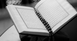 Al Quran Dan Hadis Sebagai Sumber Hukum Islam Beserta Penjelasan Terlengkap