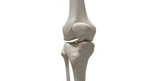 Fungsi Tulang Tempurung Lutut dan Masalah Kesehatannya