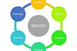299 Macam – Macam Cabang Ilmu Biologi , Pengertian dan Penjelasan Terlengkap