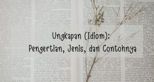 37 Contoh Kalimat Ungkapan, Pengertian dan Contoh Ungkapan Terlengkap