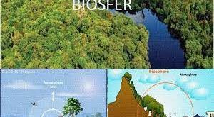 Pengertian Biosfer, Komponen dan Faktor Yang Mempengaruhi Biosfer Terlengkap