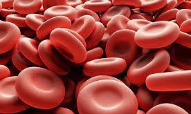 Pengertian Trombosit, Fungsi, Struktur dan Proses Pembentukan Trombosit (Keping Darah) Terlengkap