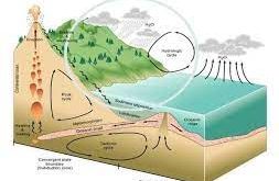 Siklus Biogeokimia: Penjaga Kestabilan Lingkungan