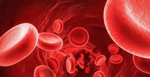 Pengertian, Ciri, Fungsi, Struktur dan Proses Pembentukan Sel Darah Merah (Eritrosit) Terlengkap