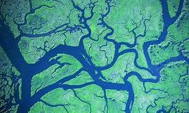 Pola Aliran Sungai: Penjelasan dan Contohnya