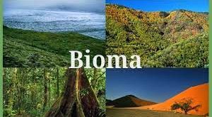 Jelaskan apa yang dimaksud dengan bioma serta sebutkan tipenya!