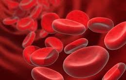 Pengertian Hemoglobin (Hb) : Fungsi, Struktur, Kadar, Pembentukan dan Kelainan Hemoglobin (Hb)