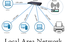 LAN (Local Area Network)